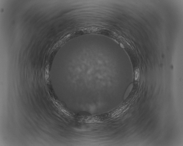 X0000083571011200702091048