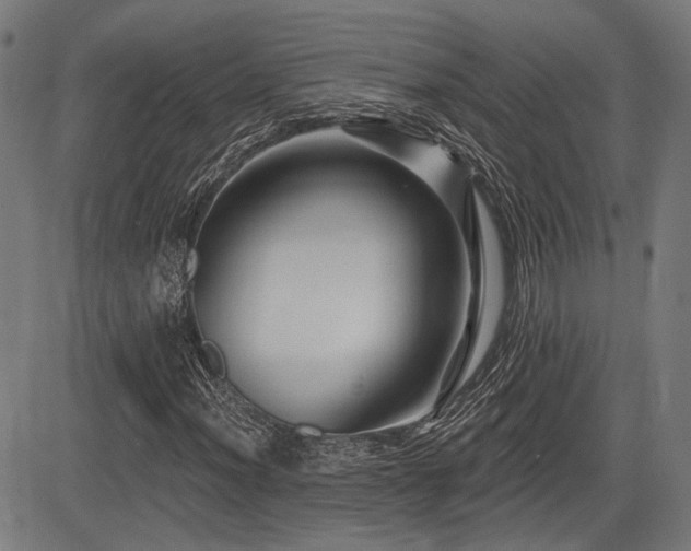X0000083571012200702091048