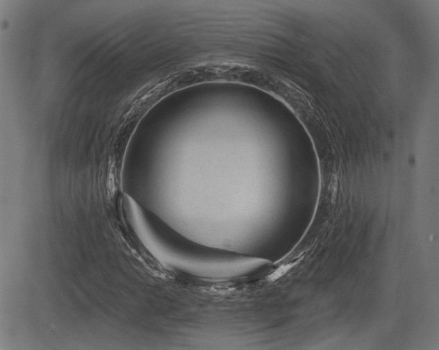 X0000083571014200702091048