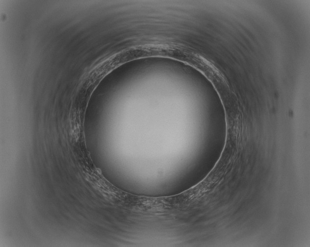 X0000083571015200702091048