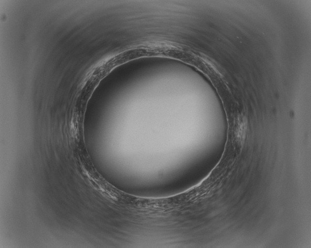 X0000083571016200702091048