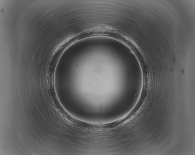 X0000083571018200702091048