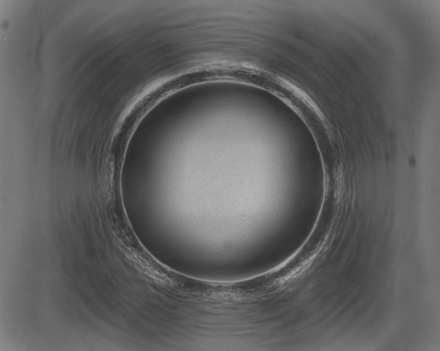 X0000083571021200702091048
