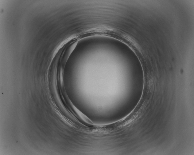 X0000083571026200702091048