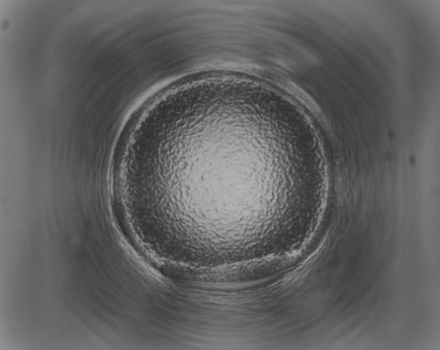 X0000083571028200702091048