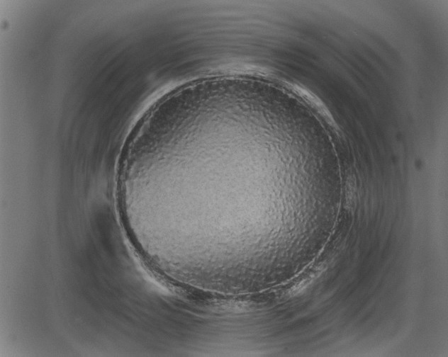 X0000083571039200702091048