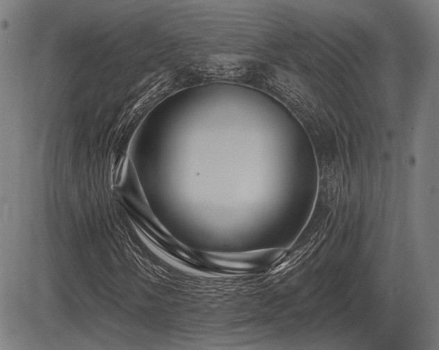 X0000083571058200702091048