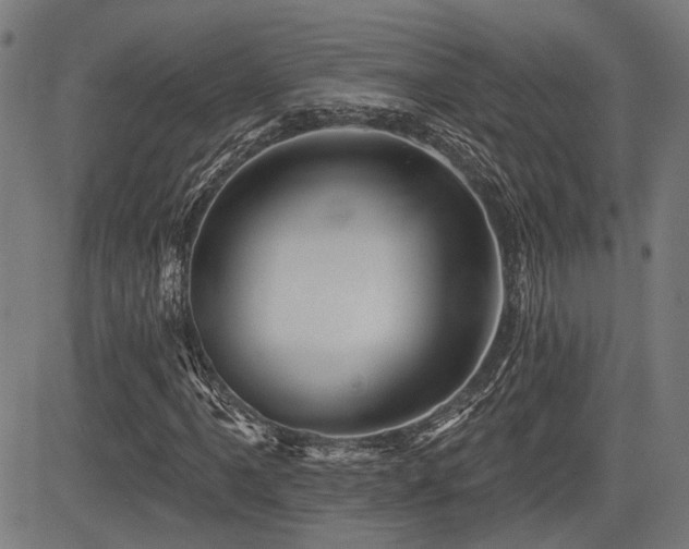 X0000083571061200702091048