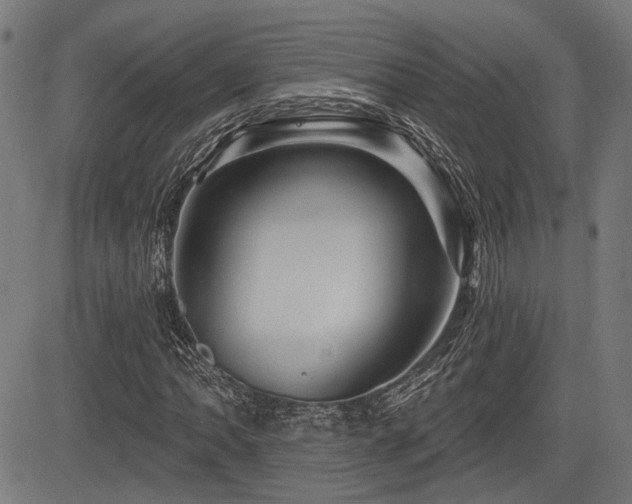 X0000083571062200702091048