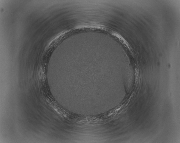 X0000083571064200702091048