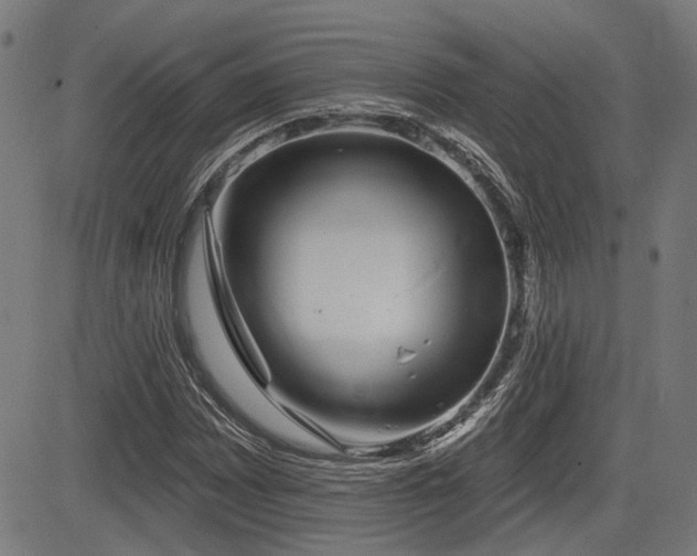 X0000083571065200702091048