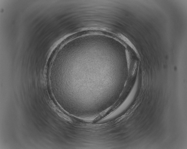 X0000083571068200702091048