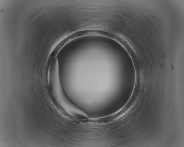 X0000083571069200702091048
