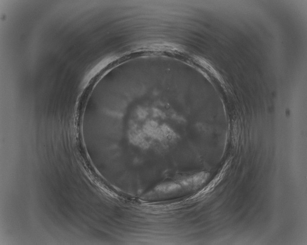X0000083571071200702091048