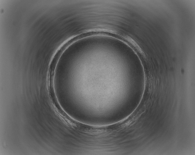 X0000083571076200702091048