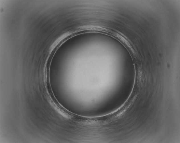 X0000083571082200702091047
