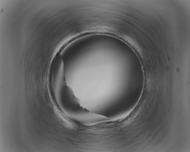 X0000083571085200702091047
