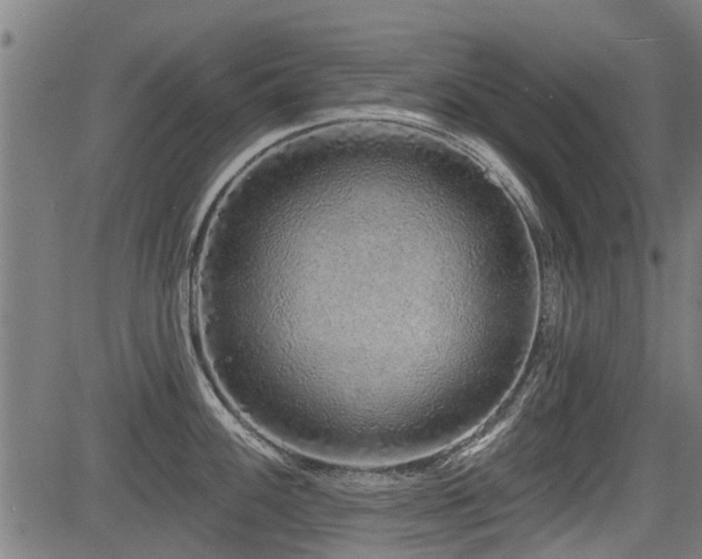 X0000083571100200702091047
