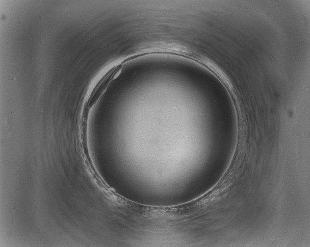 X0000083571104200702091047