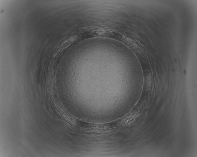 X0000083571105200702091046