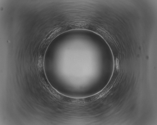 X0000083571107200702091046