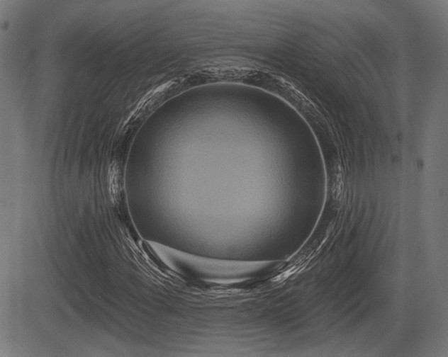 X0000083571108200702091046