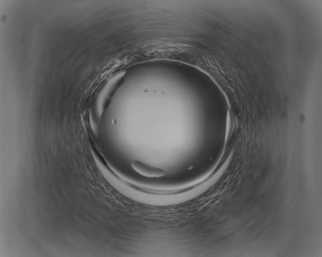 X0000083571109200702091046