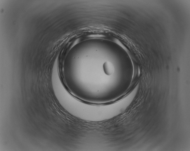 X0000083571110200702091046