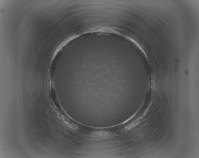 X0000083571117200702091046