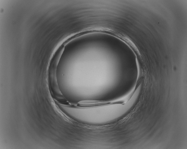 X0000083571132200702091047