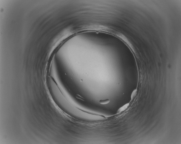 X0000083571139200702091047