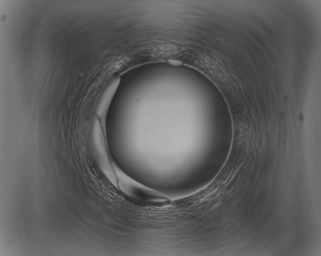 X0000083571153200702091046