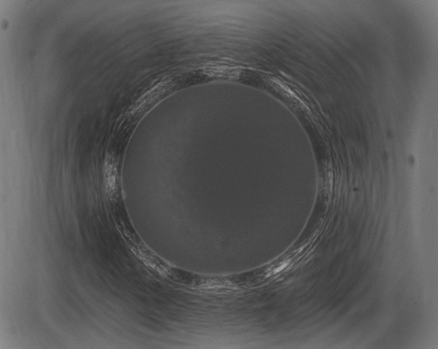 X0000083571154200702091046