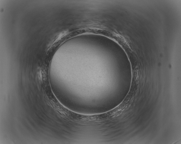 X0000083571159200702091046