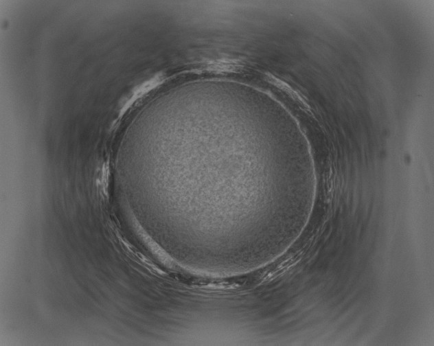 X0000083571160200702091046