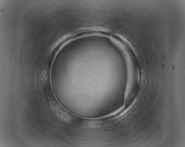 X0000083571163200702091046