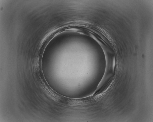 X0000083571164200702091046