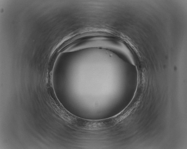 X0000083571165200702091046