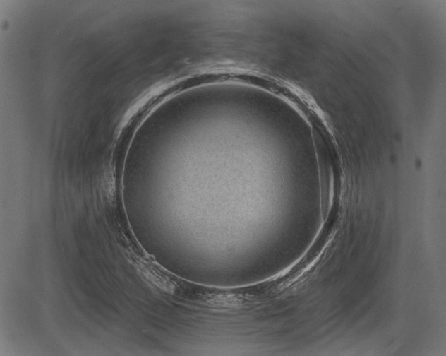X0000083571167200702091046