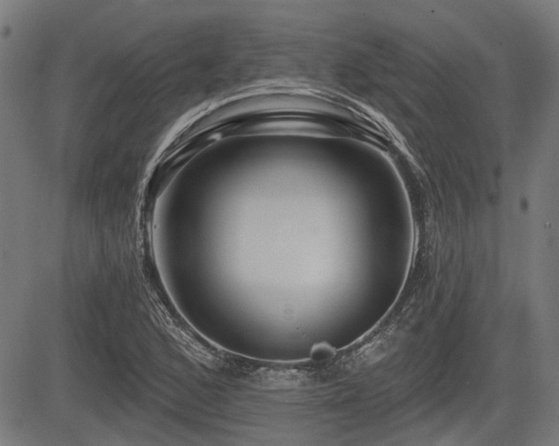 X0000083571168200702091046