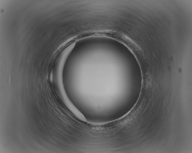 X0000083571169200702091046
