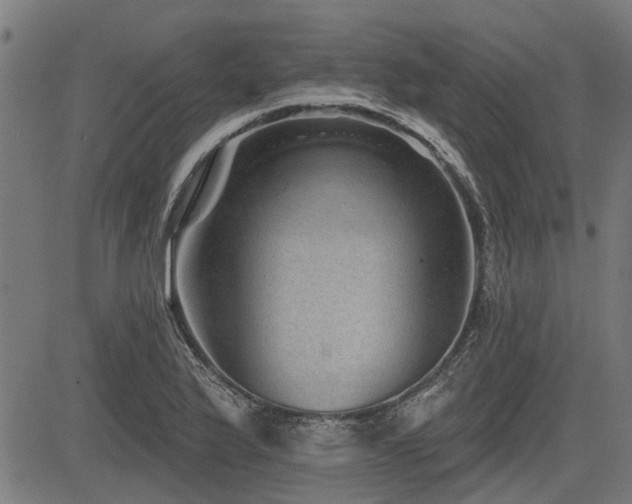 X0000083571175200702091046