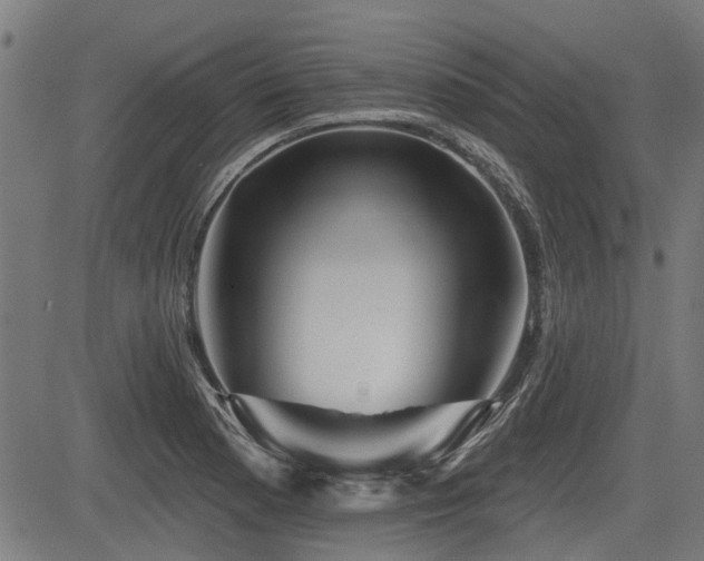 X0000083571177200702091046