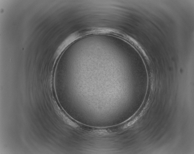 X0000083571186200702091046