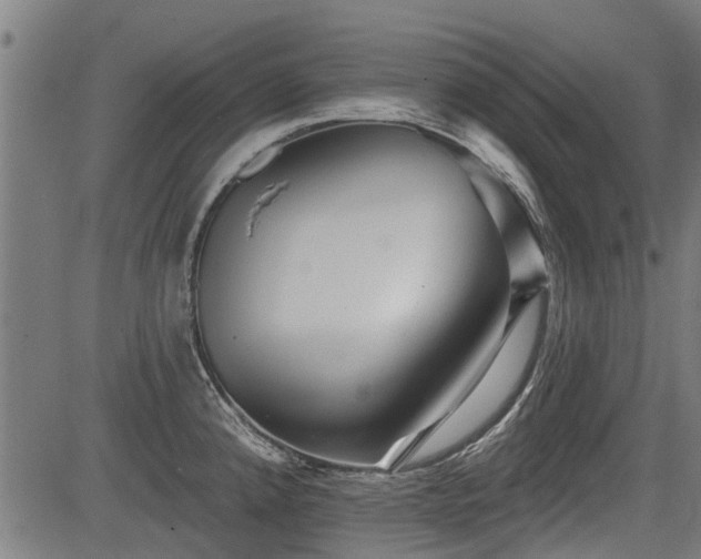 X0000083571192200702091046