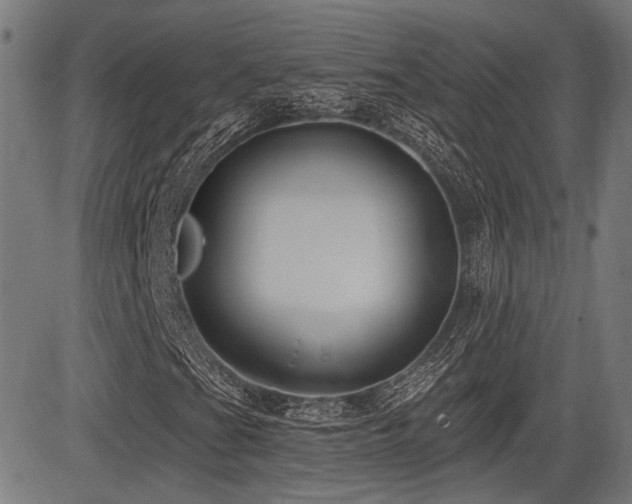 X0000083571201200702091045