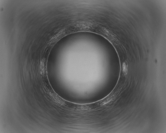 X0000083571203200702091045