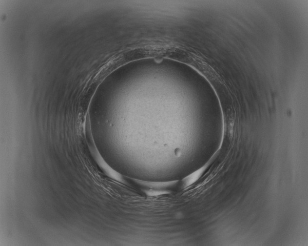 X0000083571204200702091045