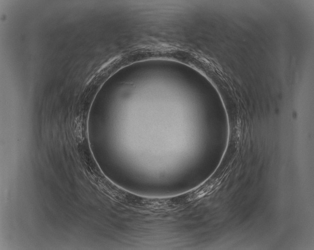 X0000083571205200702091045