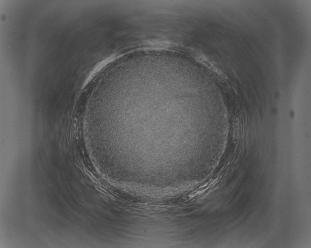 X0000083571208200702091045